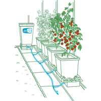 AutoPot FAQ: Die 10 häufigsten Fragen zu AutoPot-Systemen - AutoPot FAQ: 10 häufige Fragen einfach erklärt | PuraPlants