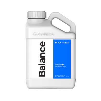 ATHENA Balance 3,79 L