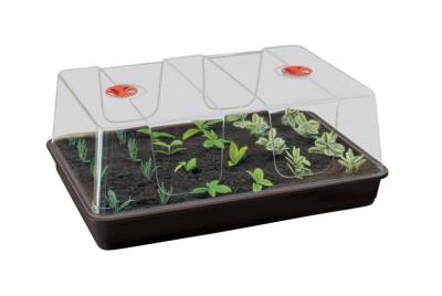 Garland XL High Dome Propagator Zimmergewächshaus, 58x40x22cm