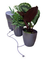 AutoPot Khloris System mit 2x 8,5L Töpfen, Brombeere
