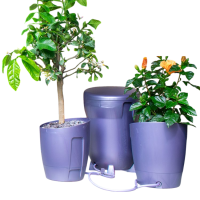AutoPot Khloris System mit 2x 8,5L Töpfen, Brombeere