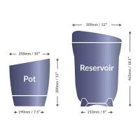 AutoPot Khloris System mit 2x 8,5L Töpfen, Brombeere