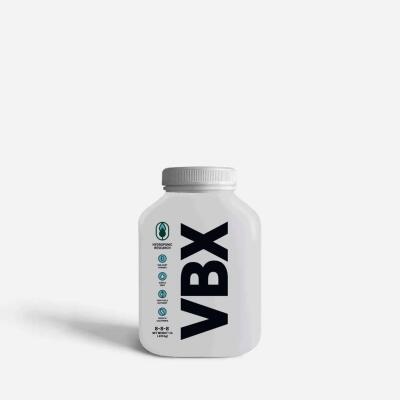 Hydroponic Research VBX CLEAN 450g