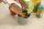 Seramis Pflanz-Granulat Zimmerpflanzen 2,5l