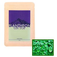 Plantheon Living Mulch On Top Cover Crop Mix, 30 g
